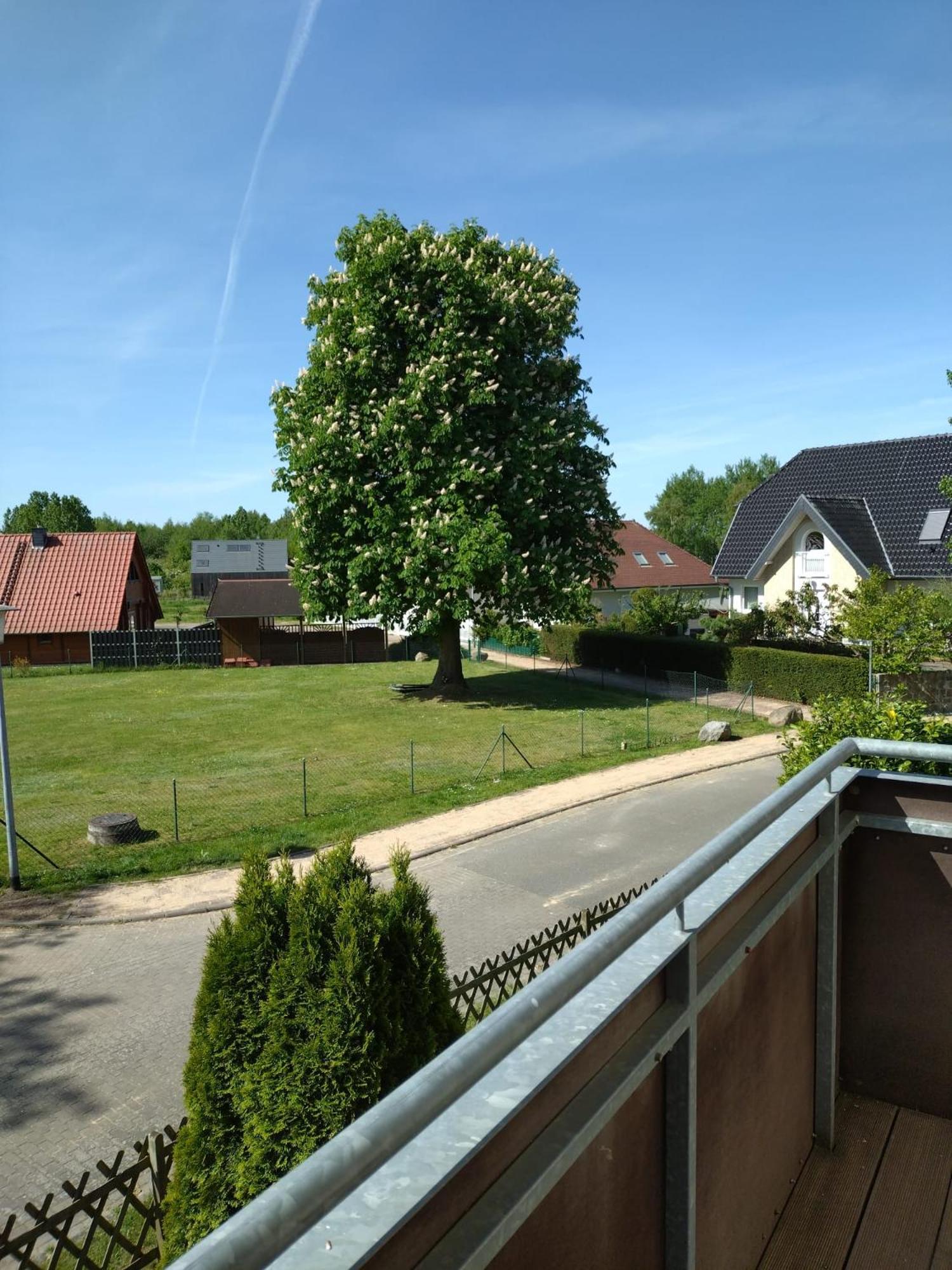 Ferienhaus Rechlin See المظهر الخارجي الصورة